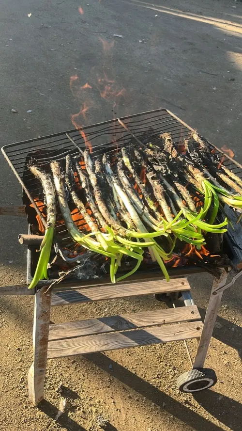 Calçots asándose sobre la brasa